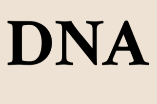 DNA Stillus